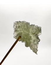 Load image into Gallery viewer, Moldavite Genuine A Grade 1.77g Raw  Crystal Specimen with Certificate of Authenticity
