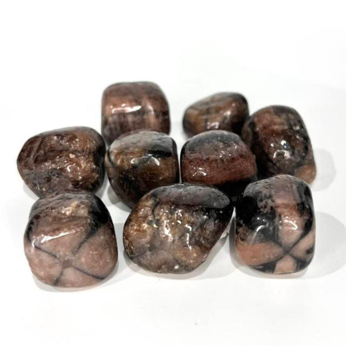 Chiastolite / Cross Stone Crystal Tumbled / Tumble Stone