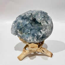 Load image into Gallery viewer, Celestite Crystal Cluster Specimen Raw Crystal Blue crystal
