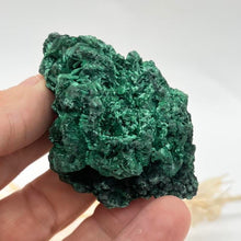 Load image into Gallery viewer, Malachite Crystal  velvet Raw Crystal Malachite
