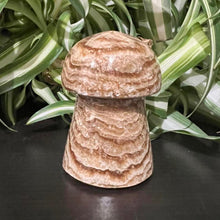 Load image into Gallery viewer, Chocolate Calcite Mushroom Crystal Carving
