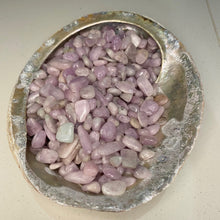 Load image into Gallery viewer, Kunzite Tumbled / Tumble Stone / Tumbles 10 small stones
