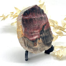 Load image into Gallery viewer, Petrified Wood Fossilised Wood Crystal Slab Raw Stone
