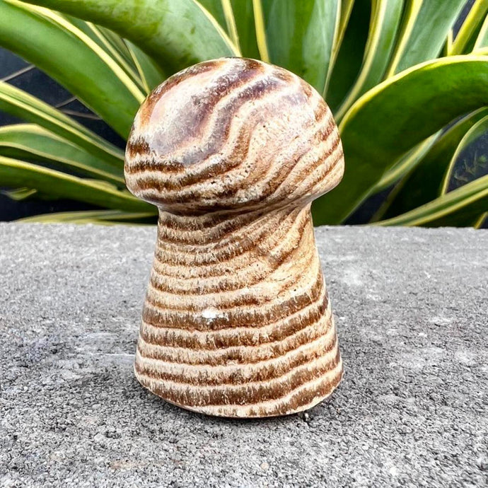 Chocolate Calcite Mushroom Crystal Carving