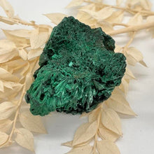 Load image into Gallery viewer, Malachite Crystal  velvet Raw Crystal Malachite
