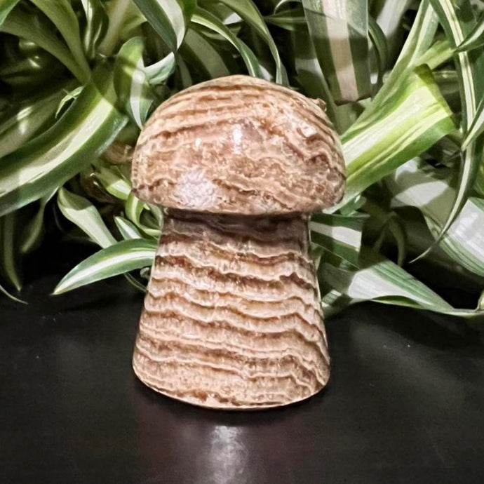 Chocolate Calcite Mushroom Crystal Carving