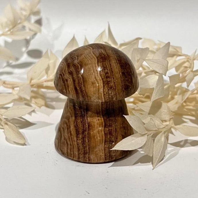 Chocolate Calcite Mushroom Crystal Carving