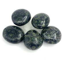 Load image into Gallery viewer, Kambaba Jasper Crystal Palm Stone
