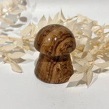 Load image into Gallery viewer, Chocolate Calcite Mushroom Crystal Carving
