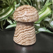 Load image into Gallery viewer, Chocolate Calcite Mushroom Crystal Carving
