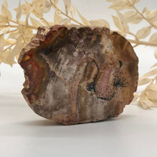 Load image into Gallery viewer, Petrified Wood Fossilised Wood Crystal Slab Raw Stone
