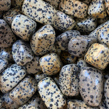 Load image into Gallery viewer, Dalmatian Jasper Tumbled / Tumble Stone / Tumbles
