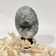 Load image into Gallery viewer, Celestite Crystal Cluster Specimen Raw Crystal Blue crystal
