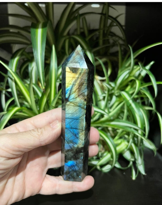 Labradorite Tower Point Generator Crystal Labradorite Tower with Flash