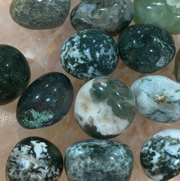 Moss Agate Tumbled /Tumble Stone