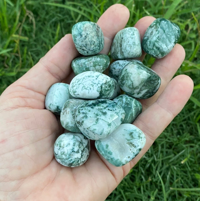 Tree Agate Tumble / Tumbled Stone Crystal